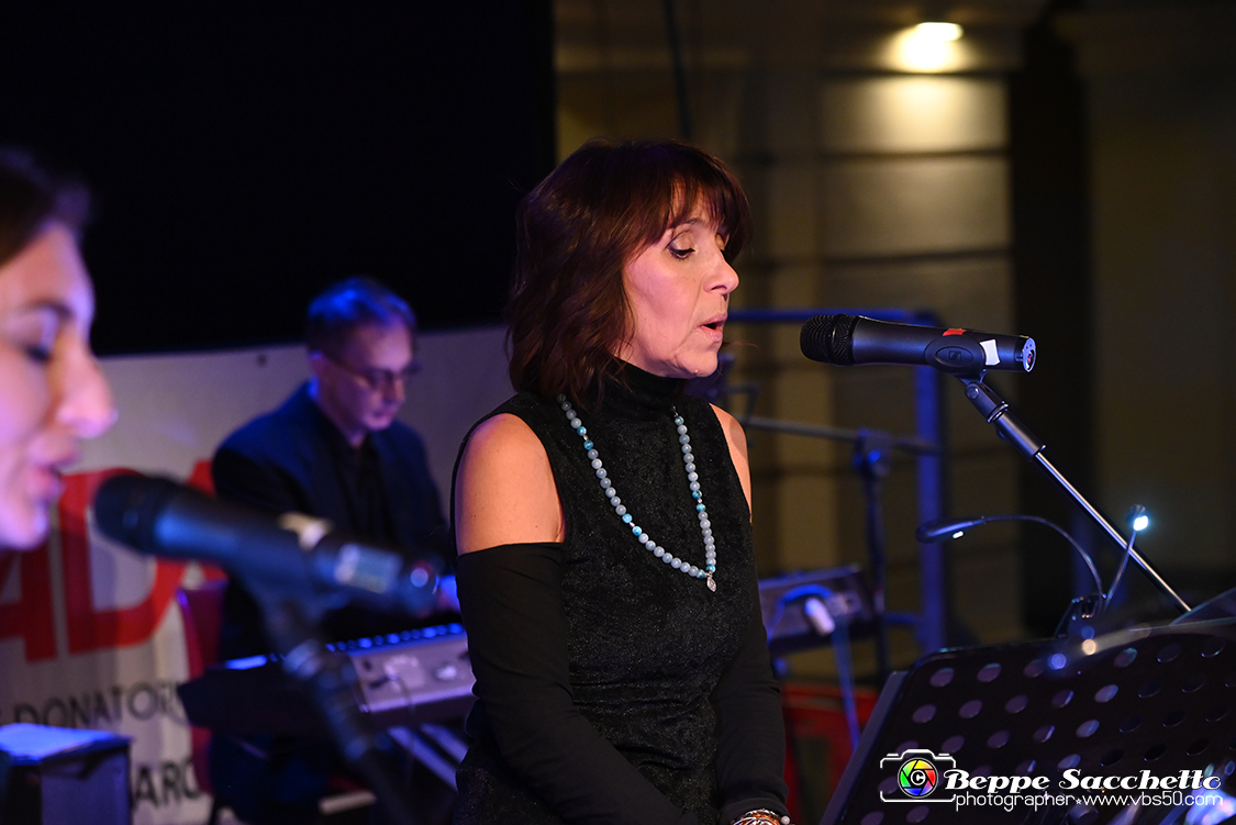 VBS_4280 - Sipario - Arvedsestate 2022.jpg